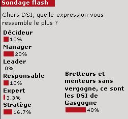 Sondage Flash : les DSI se voient avant tout comme des managers