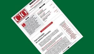 CIO.PDF 12 : doper la flexibilit&eacute; des SI