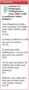 Sondage flash&nbsp;: l'infog&eacute;rance comme moyen de contr&ocirc;le des co&ucirc;ts laisse dubitative