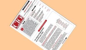 CIO.PDF 16 : organiser, prot&eacute;ger, objectiver