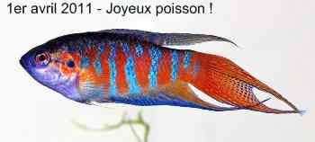 Poisson d'Avril